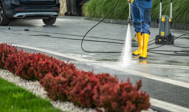 Best Deck Cleaning Services  in East Moline, IL