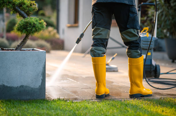 Best Exterior Home Cleaning  in East Moline, IL